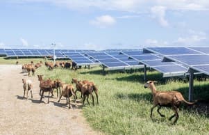 Cloud Solar mission
